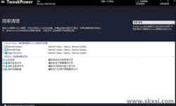 TweakPower(系统优化工具) v2.060 中文绿色版