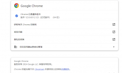 Google Chrome(谷歌浏览器) v130.0.6723.70 便携版