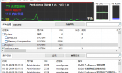 Process Lasso(进程优化工具) Pro v15.0.2.18 便携版