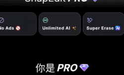 SnapEdit安卓版(AI抠图软件手机版) v7.0.0 修改版