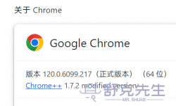  Chrome谷歌浏览器120.0.6099.217（正式版本）绿色便携版