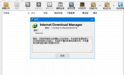 IDM下载器(Internet Download Manager) v6.42.22 便携版