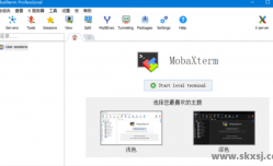 MobaXterm(远程终极工具箱) v24.3 Build 5248 绿色版