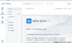 WPS Office 2019专业增强版 v11.8.2.12309 永久激活版