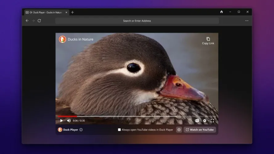 DuckDuckGo注重隐私的Web浏览器现在可以在Windows上使用