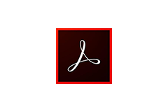 Adobe Acrobat Pro DC v2024.002.21005 便携版 32位 & 64位